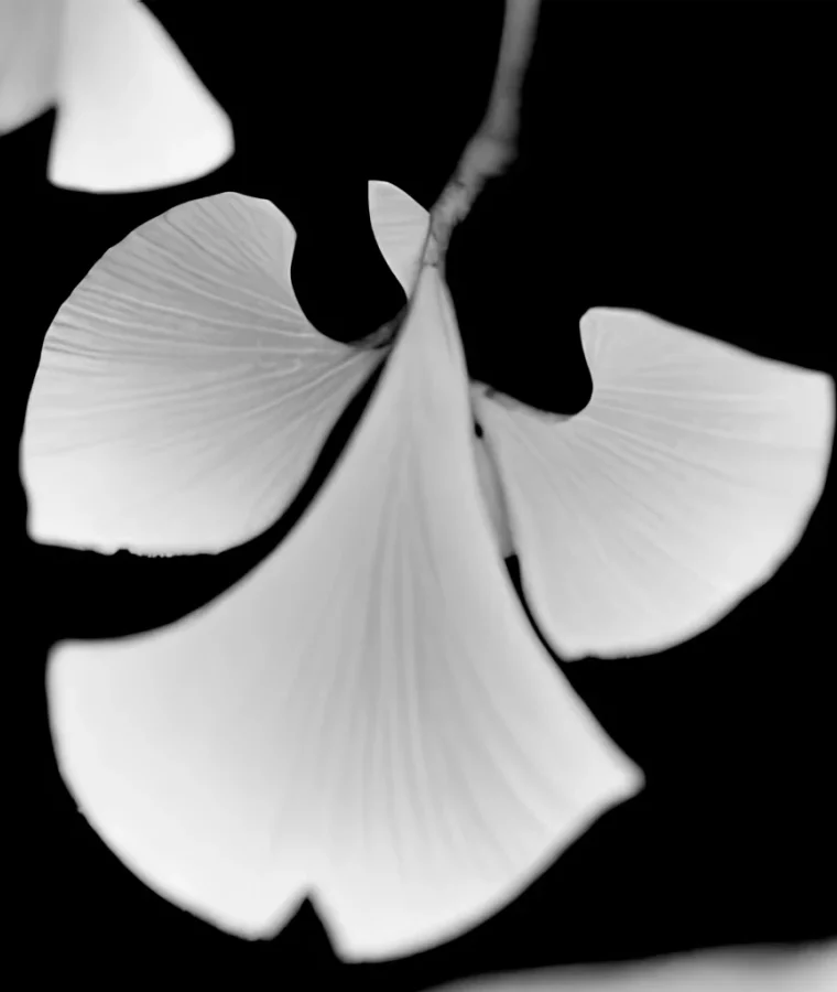 Frame 304